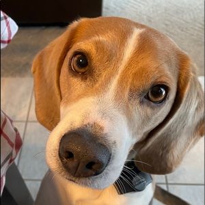 Meet your Posher, Kristin